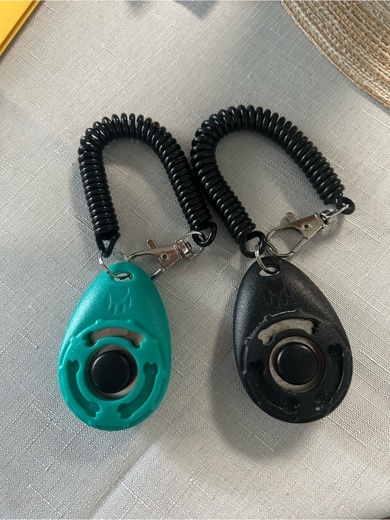 Other - Dog training clicker- Teal and Black